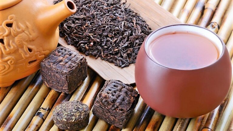 Чем пуэр отличается от обычного чая?